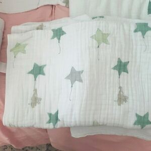 Aiden and Anais Crib Quilt Set